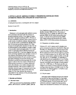 A fifth class of aminoglycoside 3&prime;