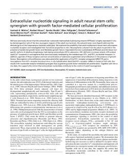 Extracellular nucleotide signaling in adult neural