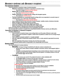 Sensory systems and Sensory receptors