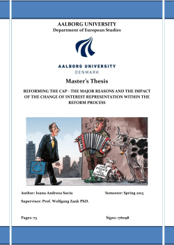 Ioana Suciu - Master`s Thesis