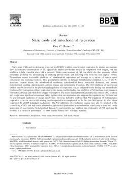 Nitric oxide and mitochondrial respiration