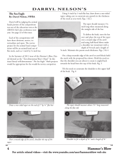 Sea Eagle pdf
