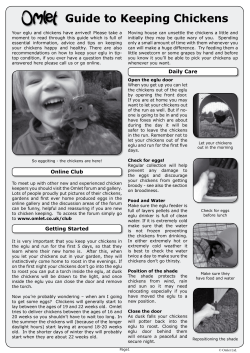 Guide to Keeping Chickens