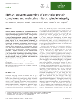 RBM14 prevents assembly of centriolar protein complexes and