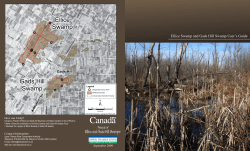 Gads Hill Swamp Ellice Swamp - Upper Thames River Conservation
