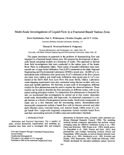 Multi-Scale Investigations of Liquid Flow in a