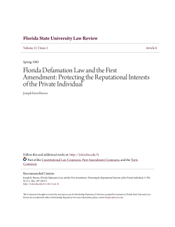 Protecting the Reputational Interests of the Private Individual