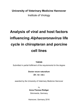 Analysis of viral and host factors influencing Alphacoronavirus life