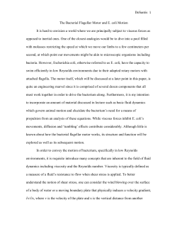 It is hard to envision a world in which our motion is significantly