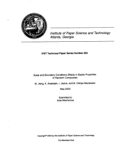 IPS1 Technical Paper Series Number 853 Scale and Boundary