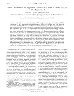 Use of 2-Aminopurine and Tryptophan Fluorescence as Probes in