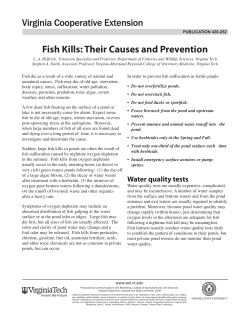 Fish Kills: Their Causes and Prevention