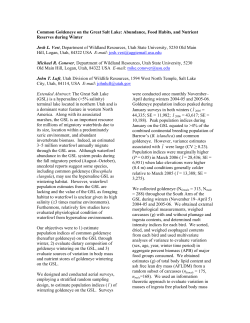 Common Goldeneye on the Great Salt Lake