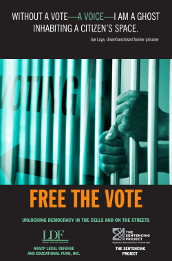 FREE THE VOTE - The Sentencing Project