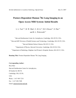 Posture-Dependent Human He Lung Imaging in an Open Access