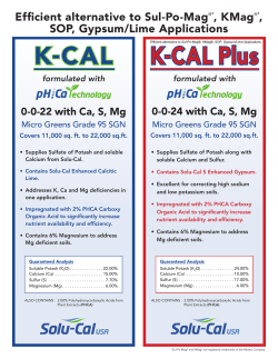 K-CAL K-CAL Plus - Solu-Cal