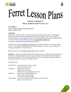 GRADE 2 LESSON #1 Where do Black-footed Ferrets