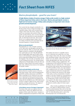 Fact Sheet from NIFES