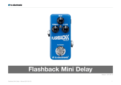 Flashback Mini Delay