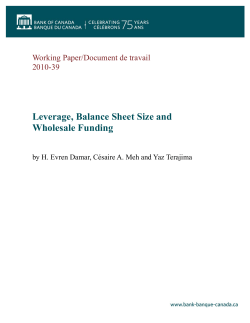 Leverage, Balance Sheet Size and Wholesale Funding