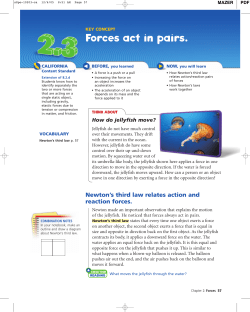Forces act in pairs.
