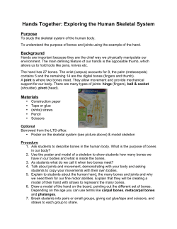 Hands Together: Exploring the Human Skeletal System