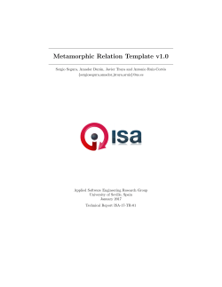 Metamorphic Relation Template v1.0