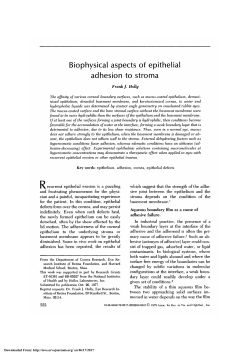 Biophysical aspects of epithelial adhesion to stroma.