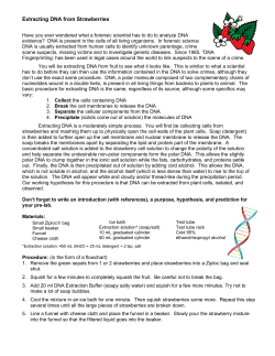 Extracting DNA from Strawberries