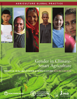 Gender in Climate-Smart Agriculture