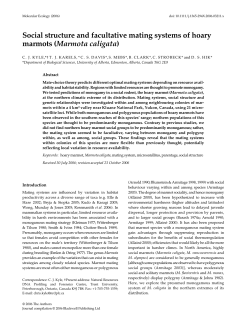 Social structure and facultative mating systems of hoary marmots