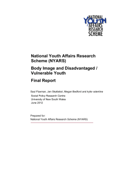 Body Image and Disadvantaged / Vulnerable Youth Final Report