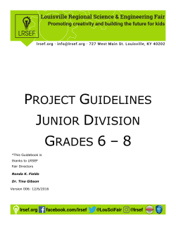 Project Guidelines