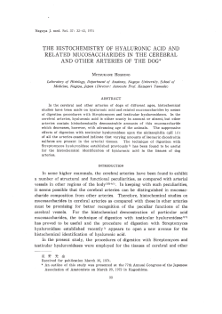 the histochemistry of hyaluronic acid and related mucosaccharides