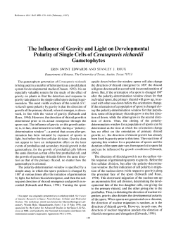 The Influence of Gravity and Light on Developmental Polarity of