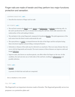 Finger nails are made of keratin and they perform two