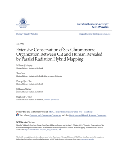 Extensive Conservation of Sex Chromosome