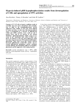 Hypoxia-induced pRB hypophosphorylation results from