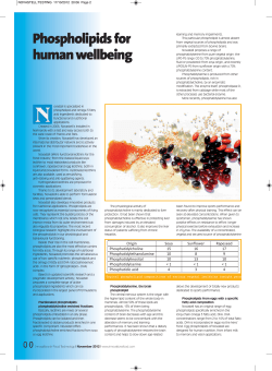 Innov Food Technol Phospholipids