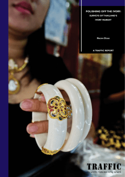 Polishing off the Ivory Trade