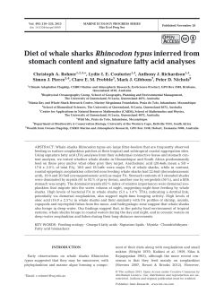 Diet of whale sharks Rhincodon typus inferred from stomach content