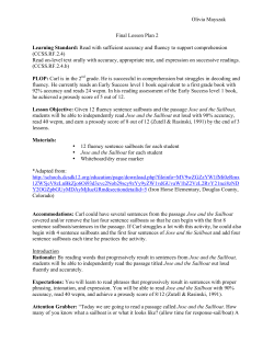 Sentence Sailboats Fluency Lesson Plan