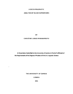 ANALYSIS OF SILOZI EUPHEMISMS BY the Requirements of the
