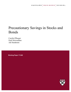 Precautionary Savings in Stocks and Bonds