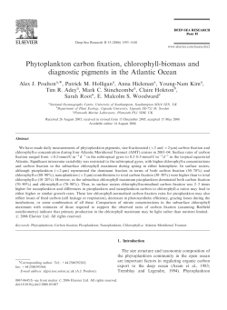 (2006) Phytoplankton carbon fixation, chlorophyll
