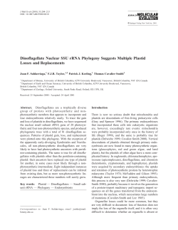 Dinoflagellate Nuclear SSU rRNA Phylogeny
