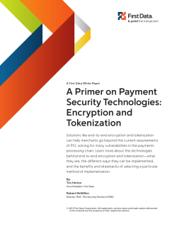 A Primer on Payment Security Technologies: Encryption and