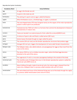 An egg is the female sex cell. A sperm is the male sex cell. The