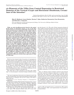 cis Elements of the Villin Gene Control Expression in Restricted