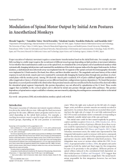 Modulation of Spinal Motor Output by Initial Arm Postures in